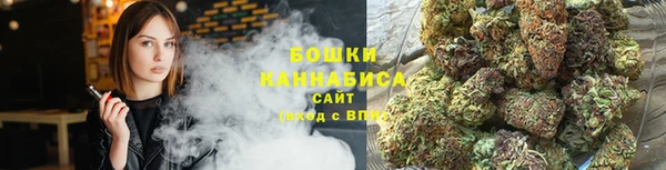 гидропоника Няндома